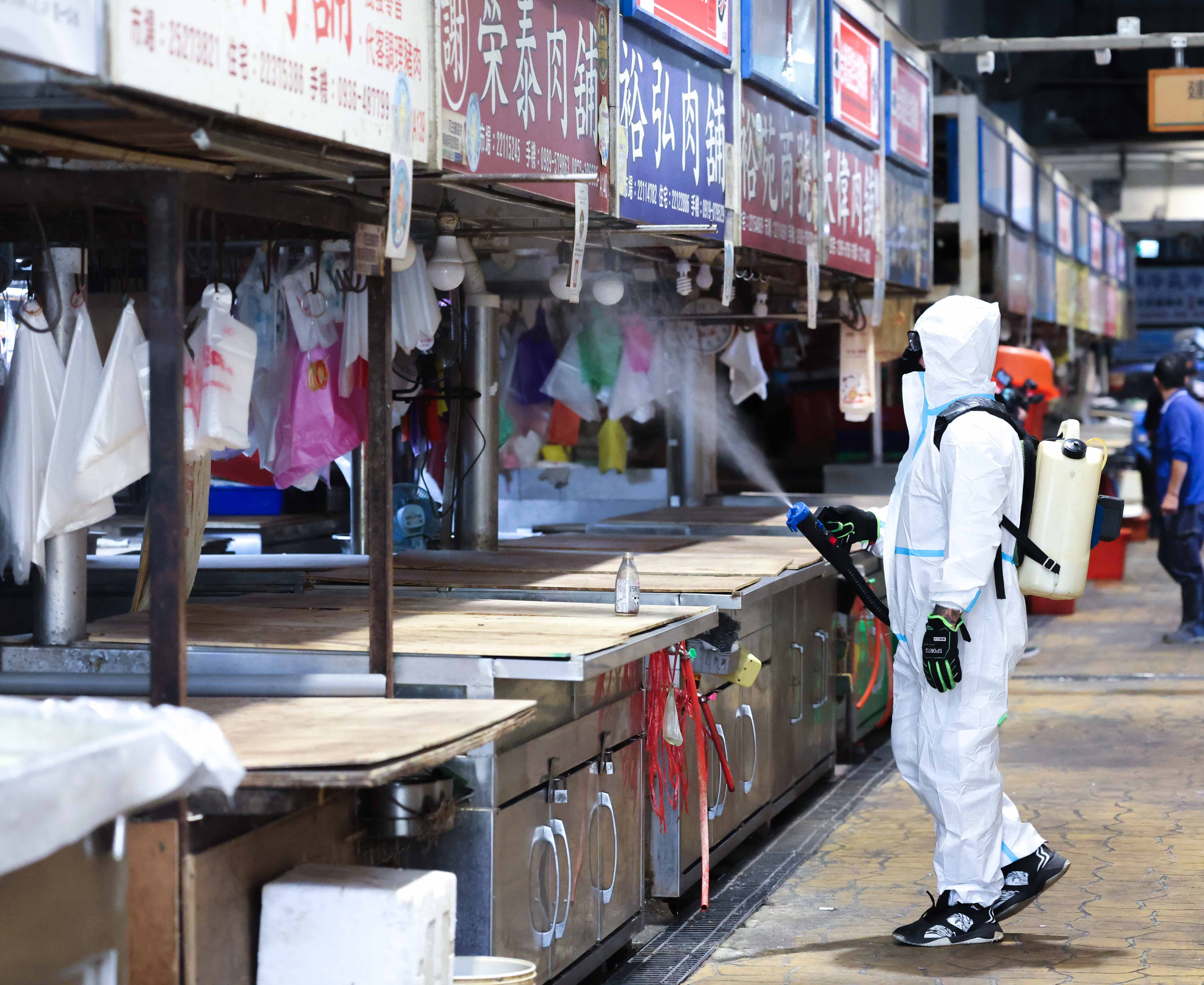 15天禁宰令解除！全台豬市重啟拍賣　台中清消備戰開市