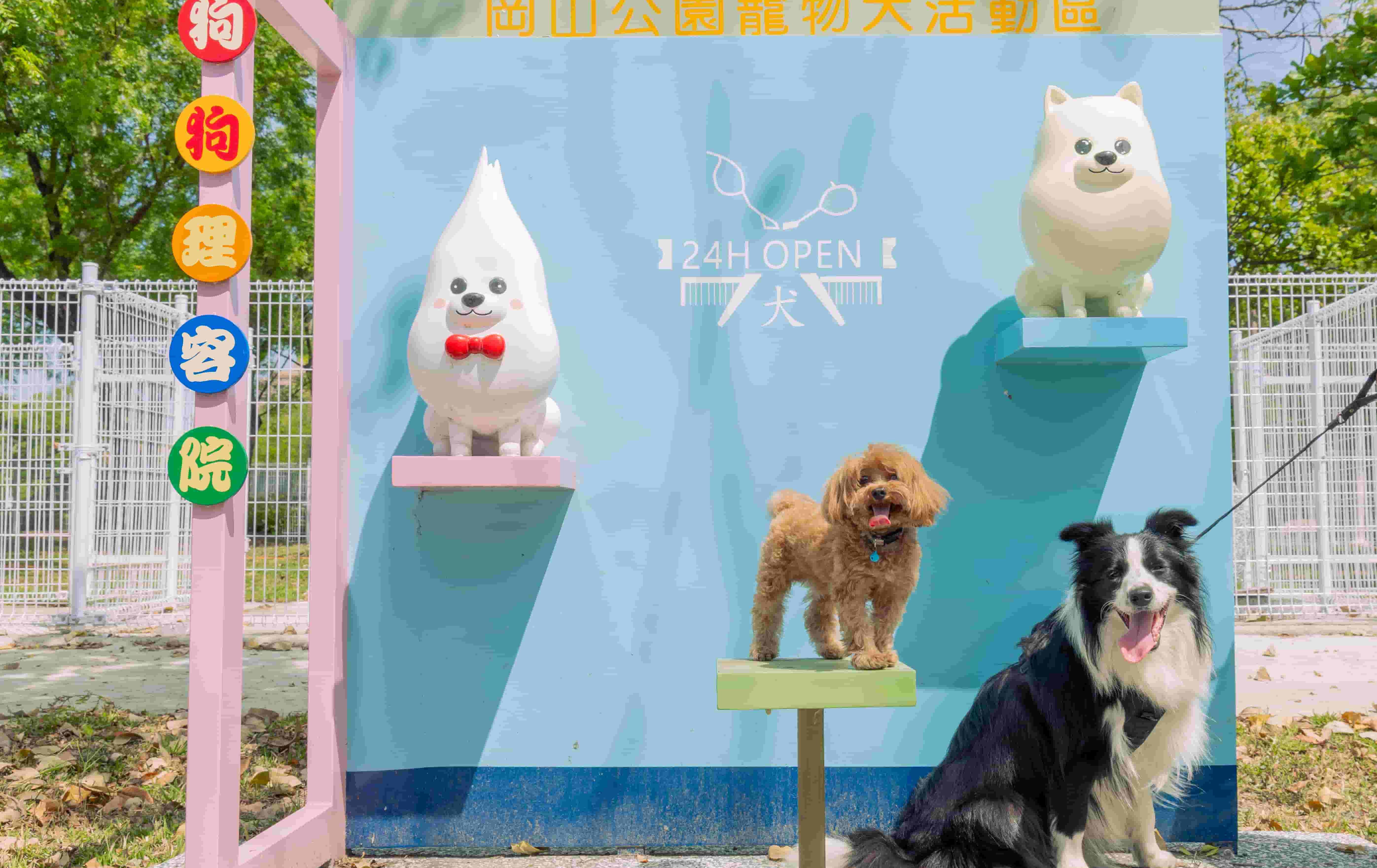 高雄寵物友善空間大升級！ 全市11處活動區啟用 今年將再增3座