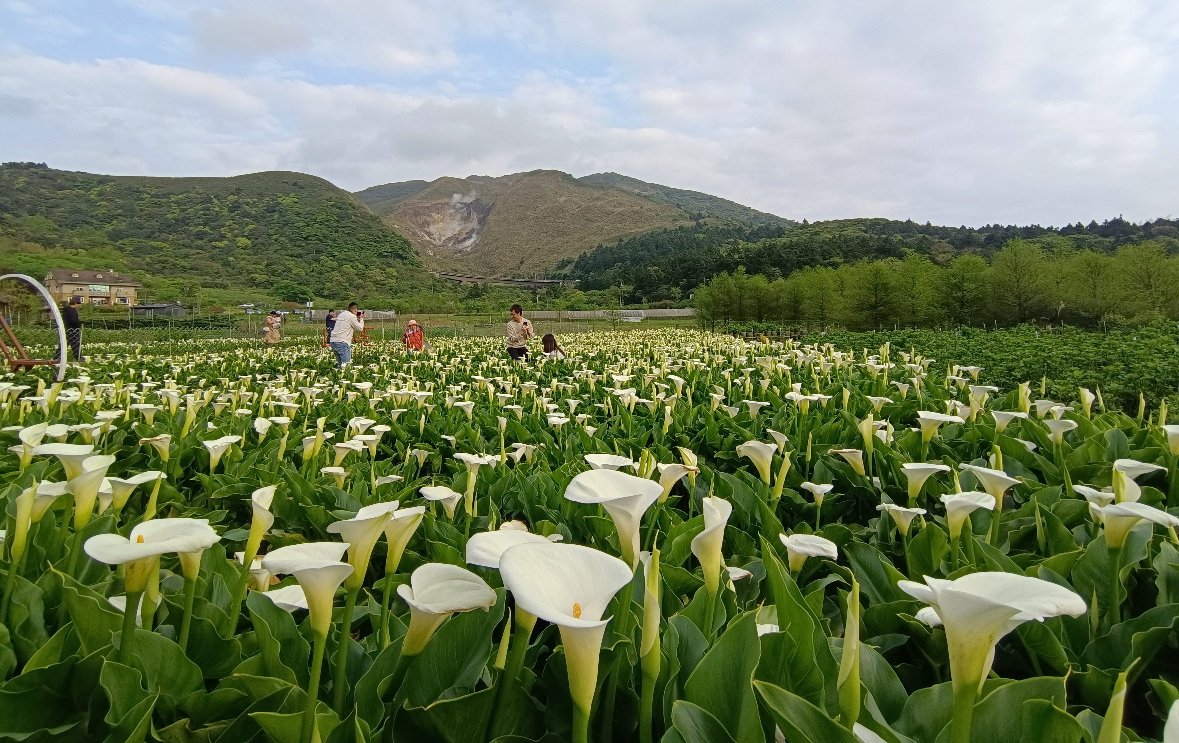 台北新春趴趴GO！ 12大慶典接力開跑 漫遊浪漫花海再抽 iPhone 17 Pro