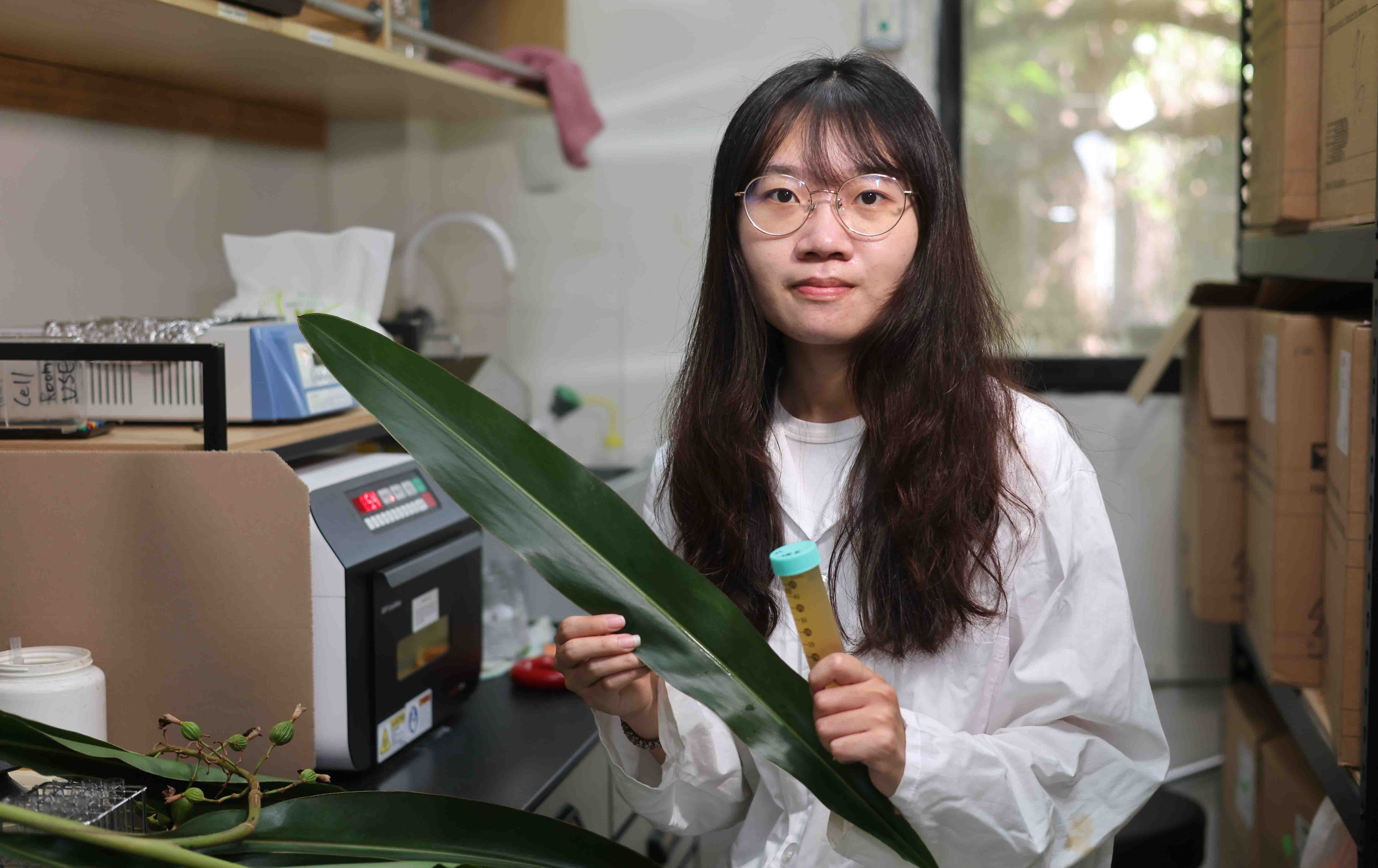 台中》中興大學團隊發現月桃葉外囊泡具抗老潛力 成果登國際期刊
