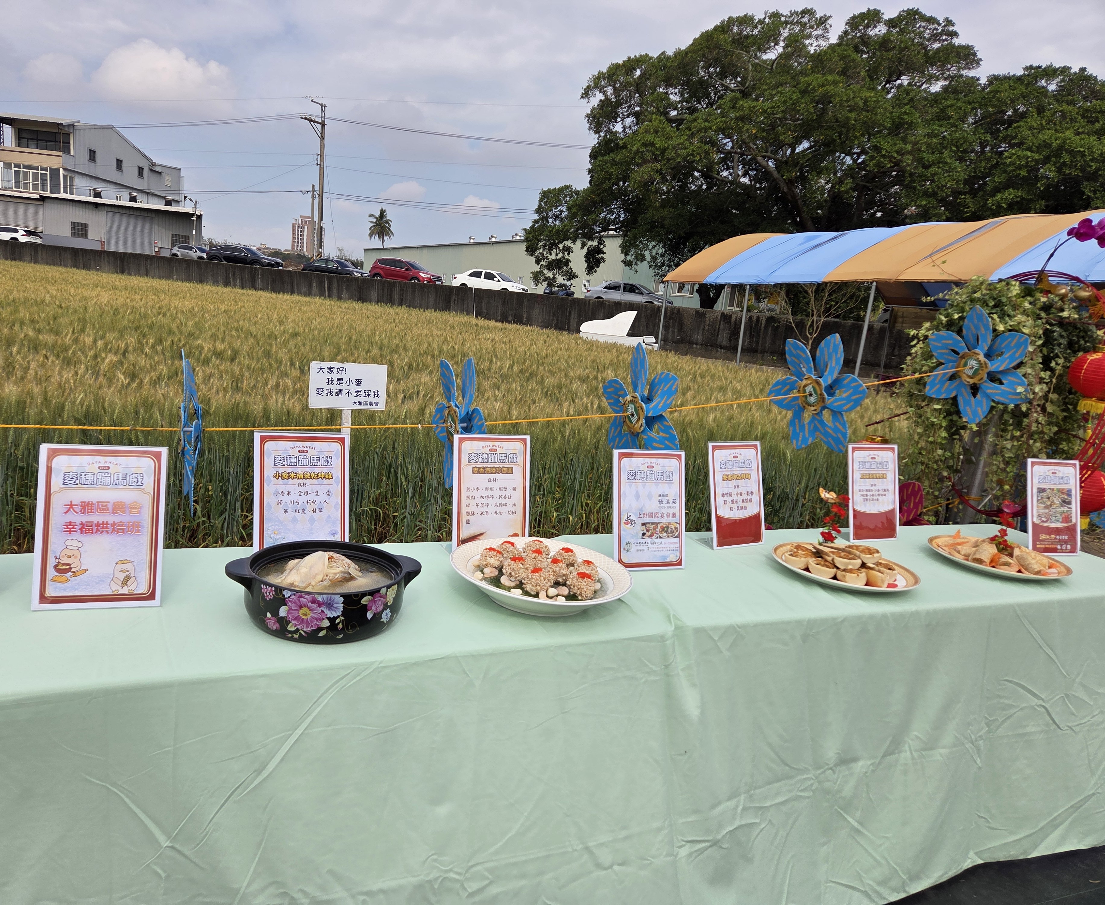 大雅小麥節3/7盛大登場　「麥穗蹦馬戲」邀您走進金色麥浪！