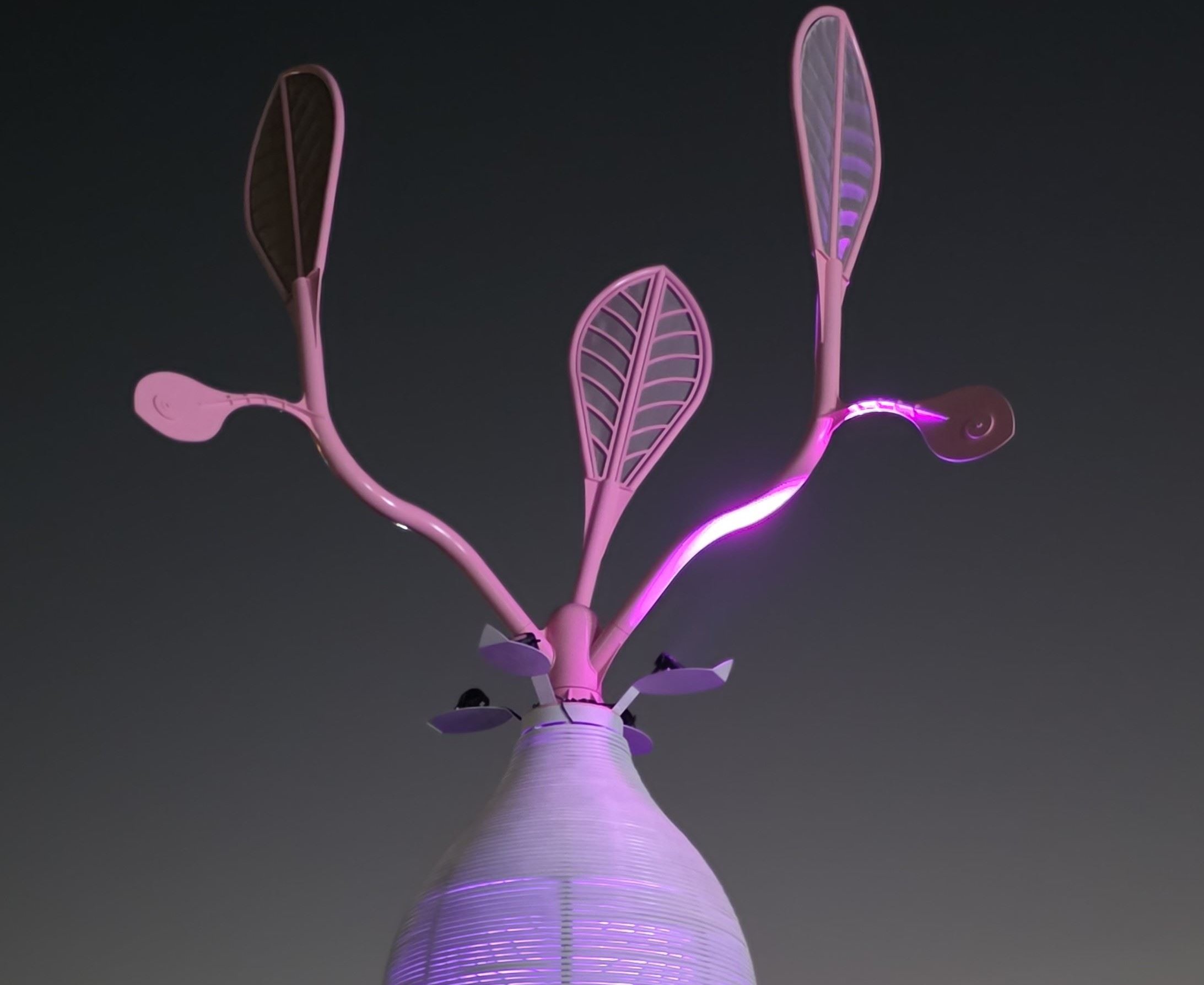 2026台灣燈會在嘉義搶先看！ 巨型火箭、無人機方舟點亮智慧農業新願景