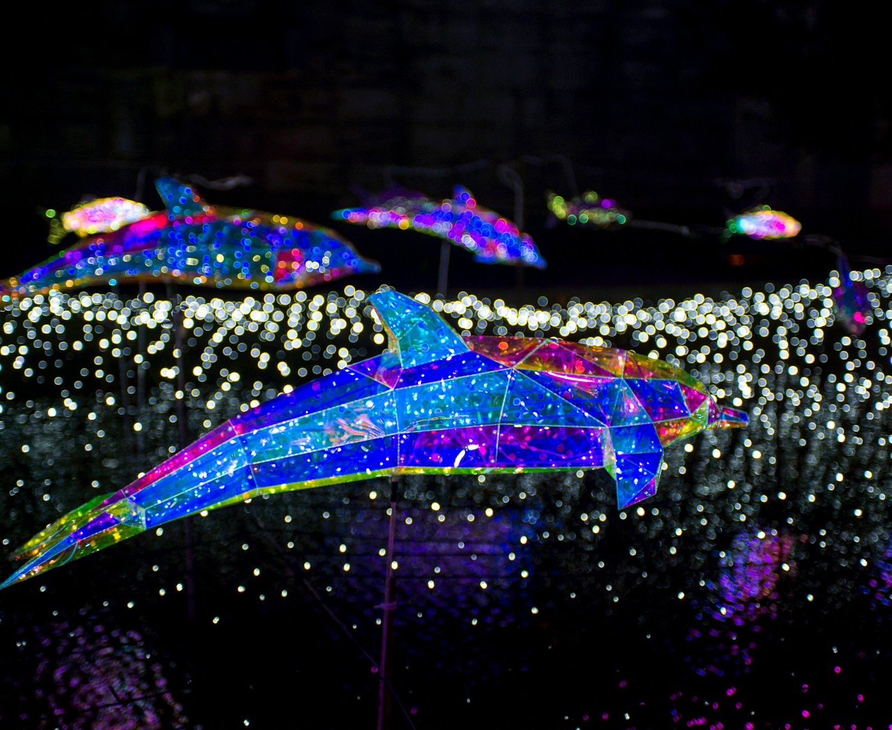 白色情人節浪漫突襲！ 中港大排光雕快閃 7米「星耀之樹」點亮新莊夜空