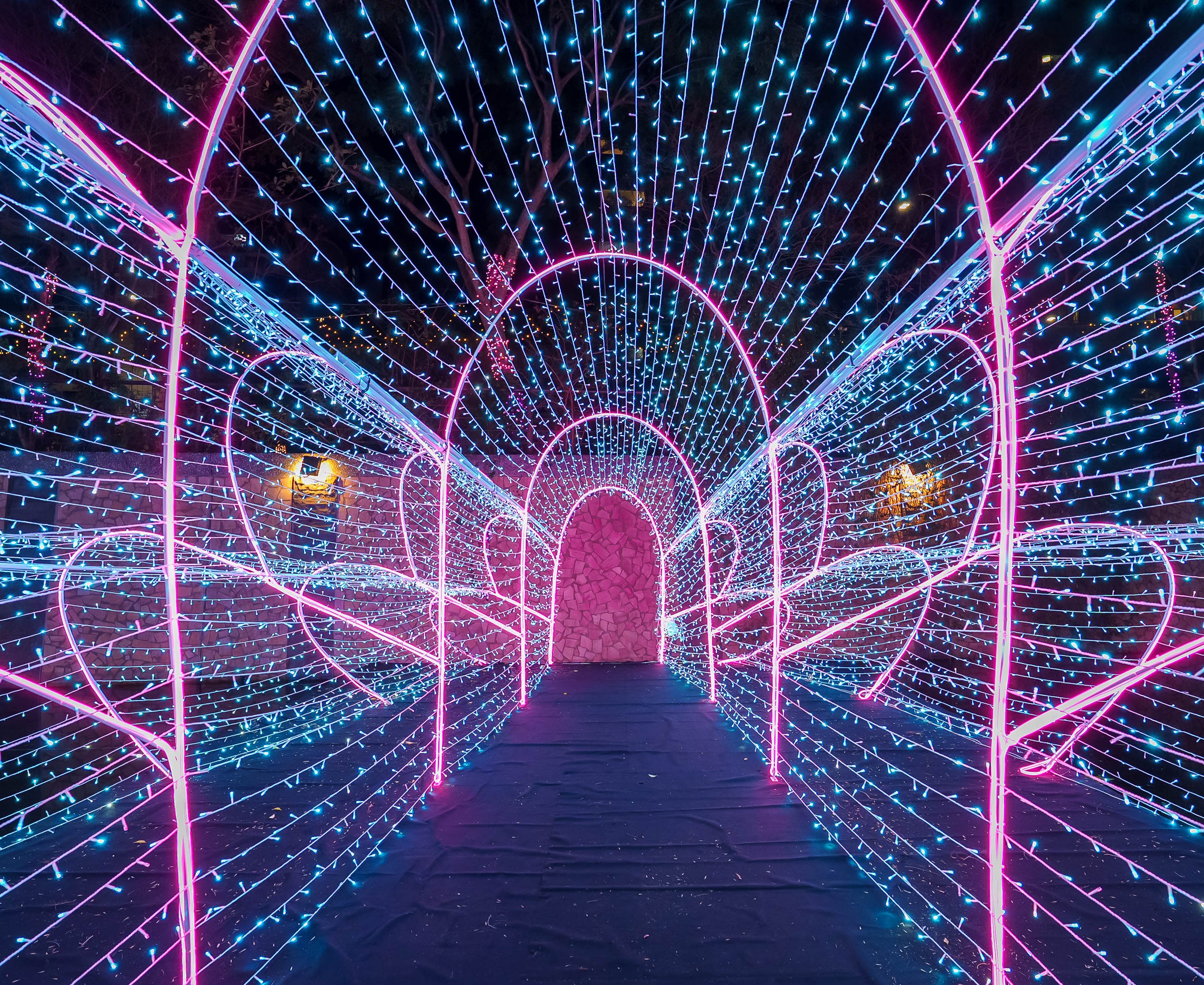 夢幻星河點亮新莊！ 中港大排光雕展盛大開幕 300萬盞燈火打造浪漫白色情人節