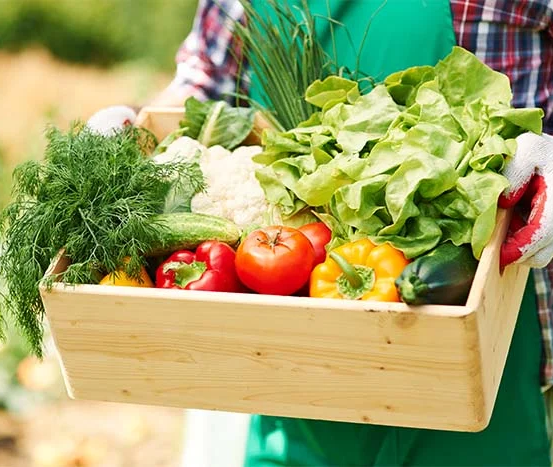 最強懶人減肥法「211餐盤」，搭配4個習慣效果加倍！