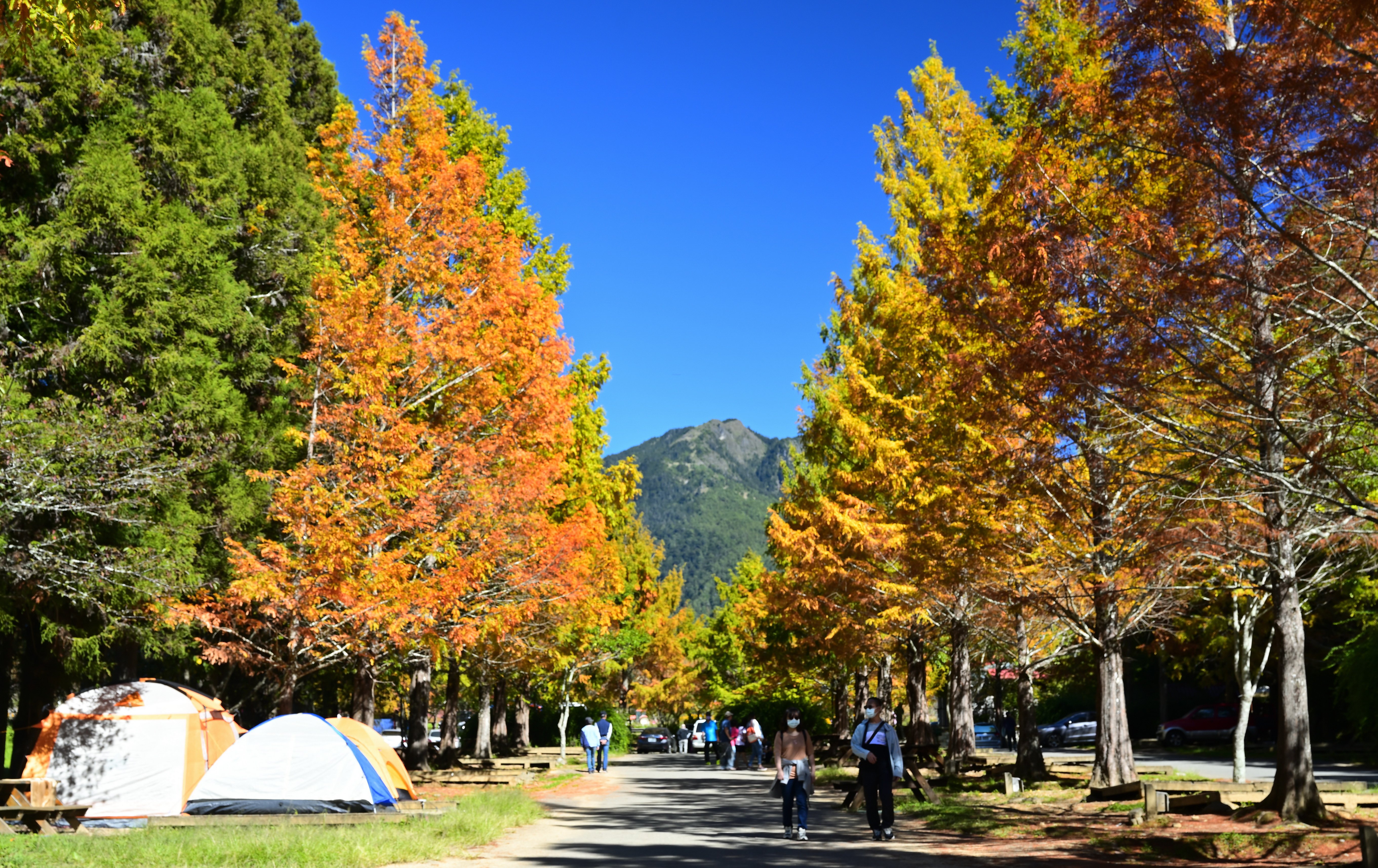 秋冬走訪台中山城 山林色彩交疊如畫