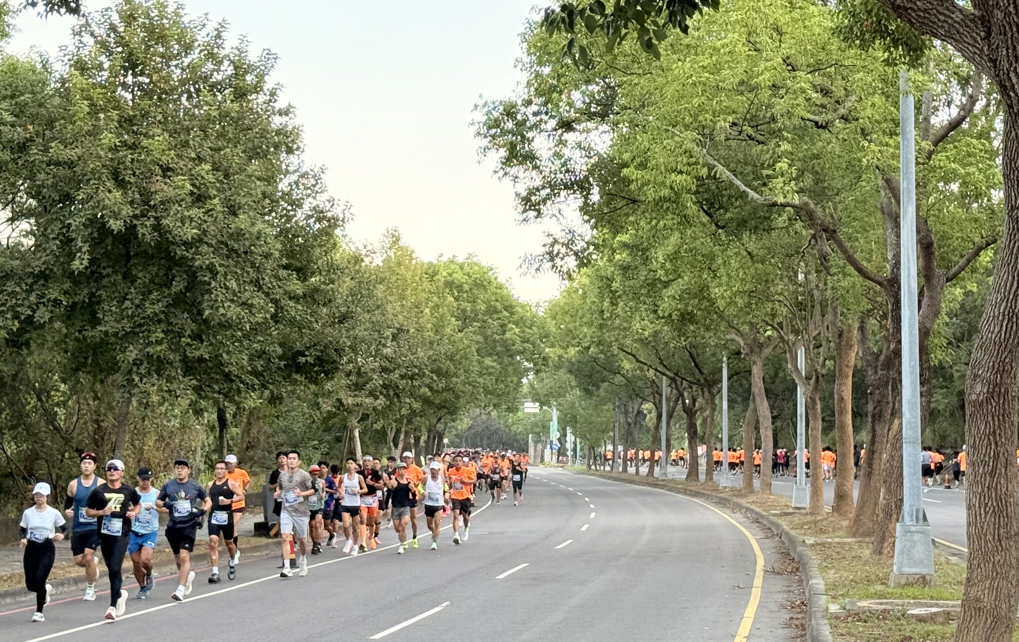 35國跑者齊聚台中！「2025臺中國際馬拉松」盛大開跑 飽覽沿途絕美風光