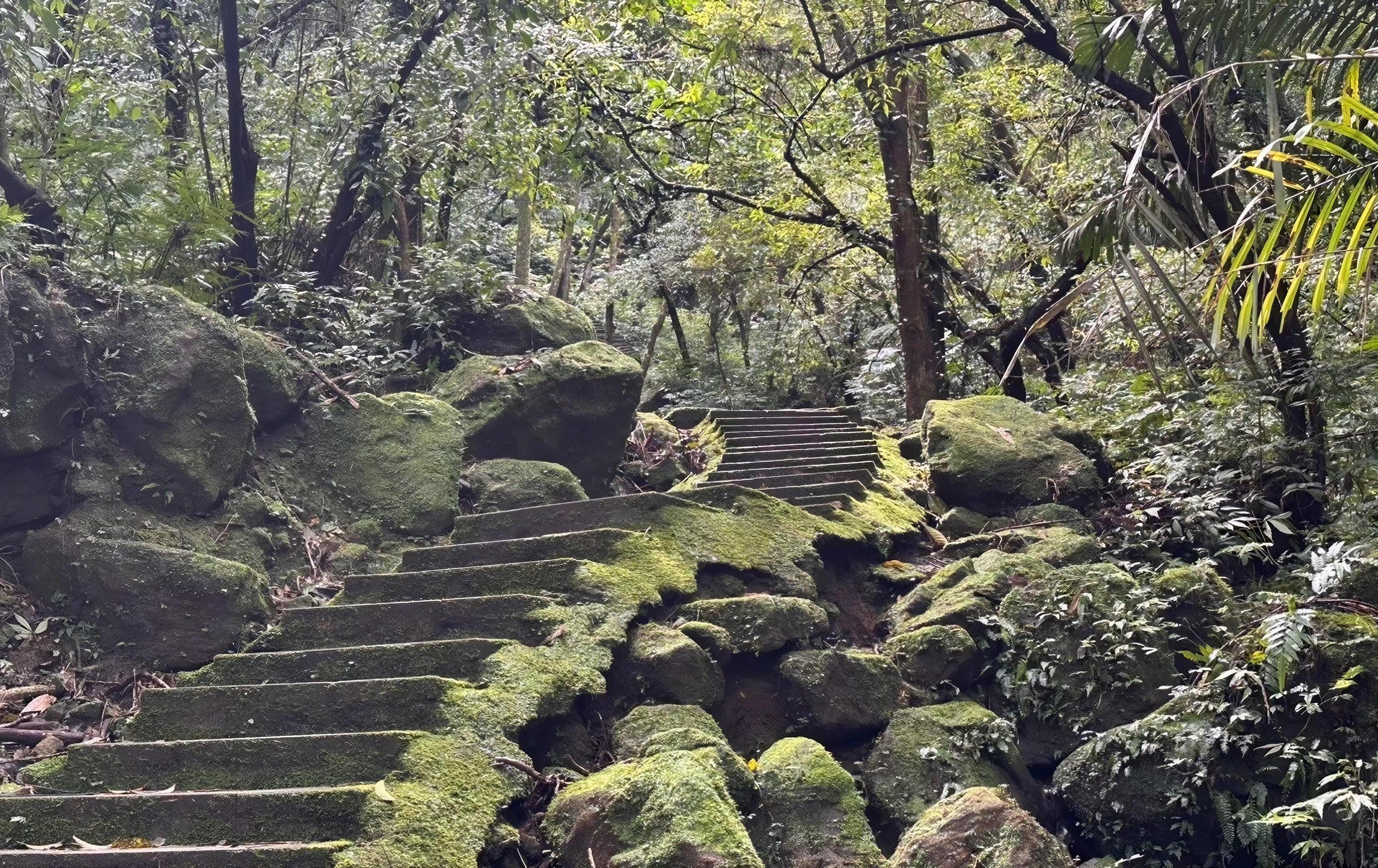 春遊新北微笑山線！ 四大健行秘境限時報名 螢火蟲星空餐宴驚豔登場
