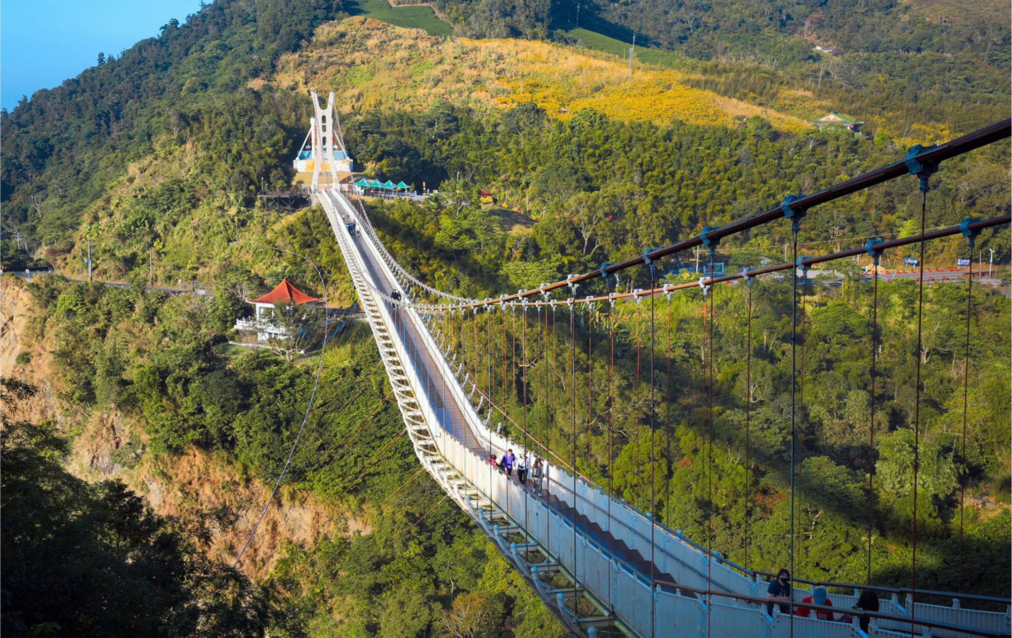 漫遊嘉義紫藤花瀑！ 梅山瑞里慢旅攻略 搶先卡位三月最美春光