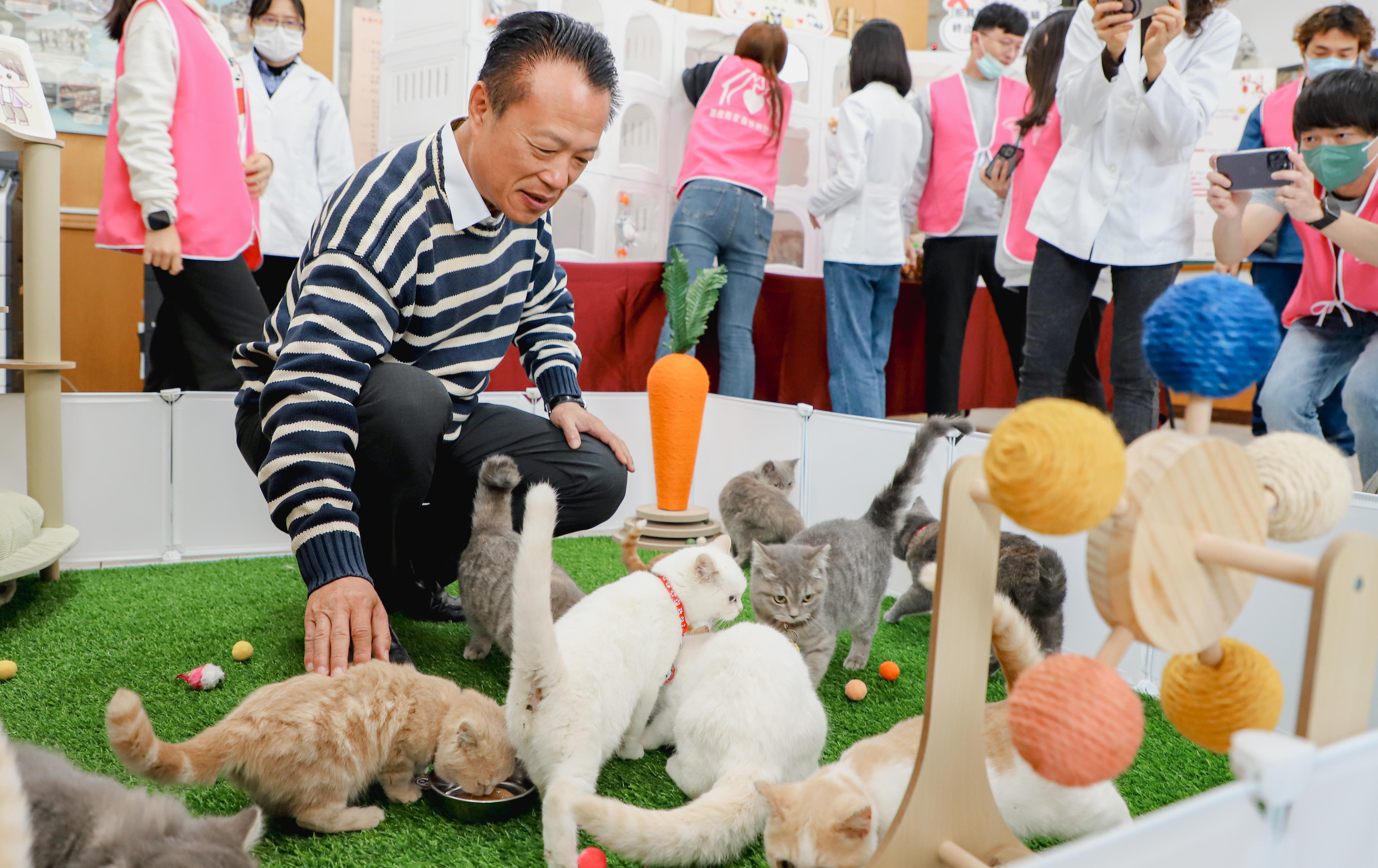 0.65%天選機率！ 嘉義縣「喵星人命定配對」揭曉 嘉義縣抽出29位鏟屎官