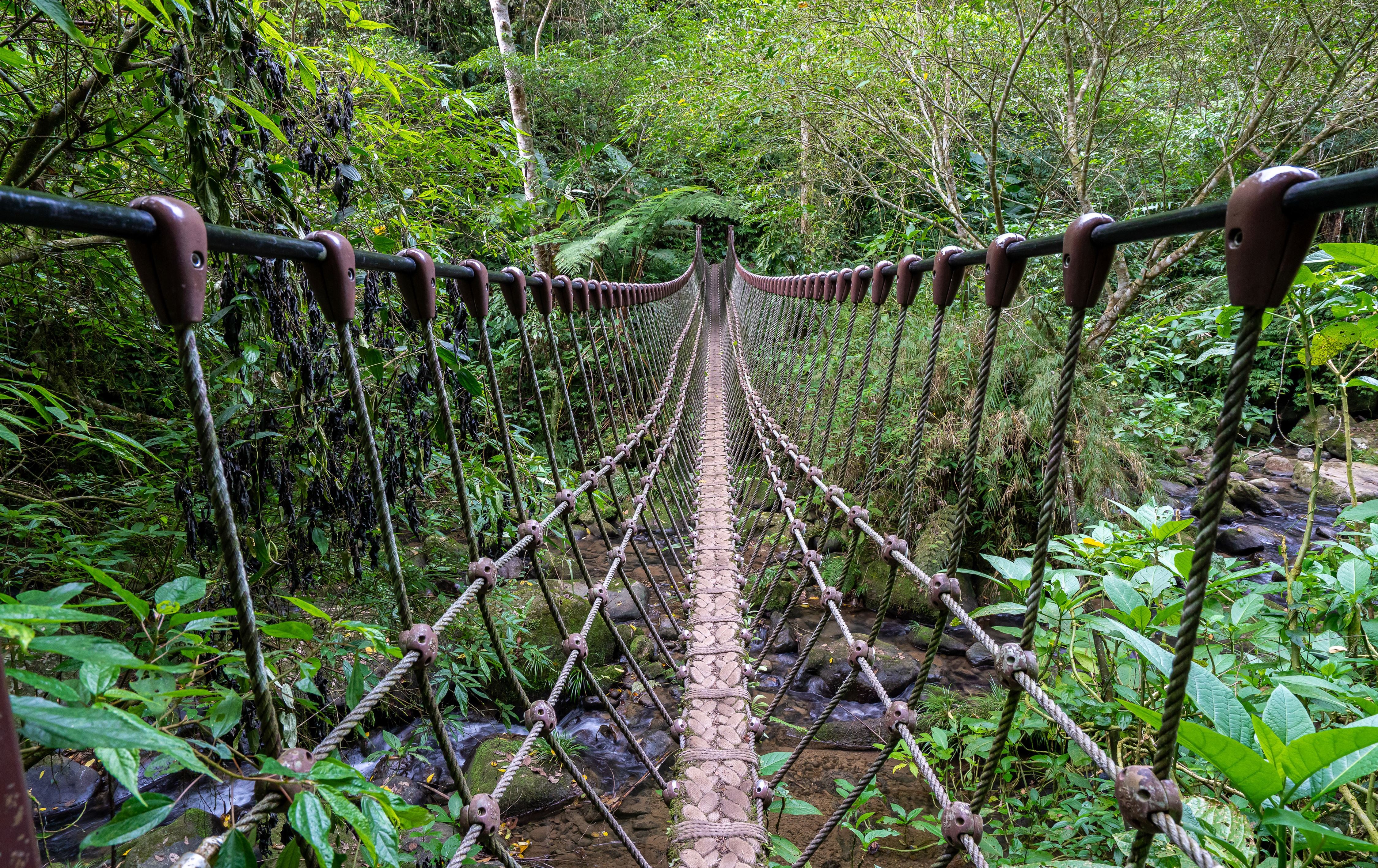 馬到成功迎新春！ 新竹縣精選三條「馬」字古道邀你走春迎好運