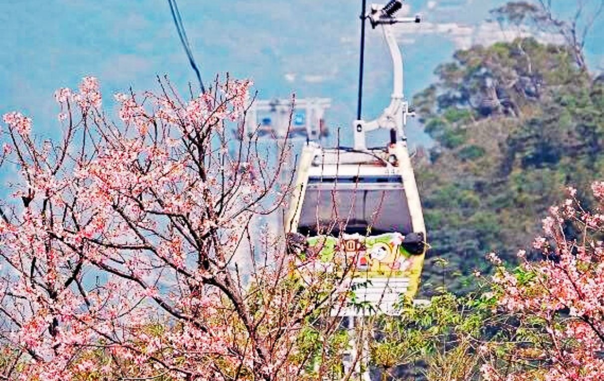 雲端上的心動旅程！ 2026貓纜「貓空之戀」限量套票即日起開賣