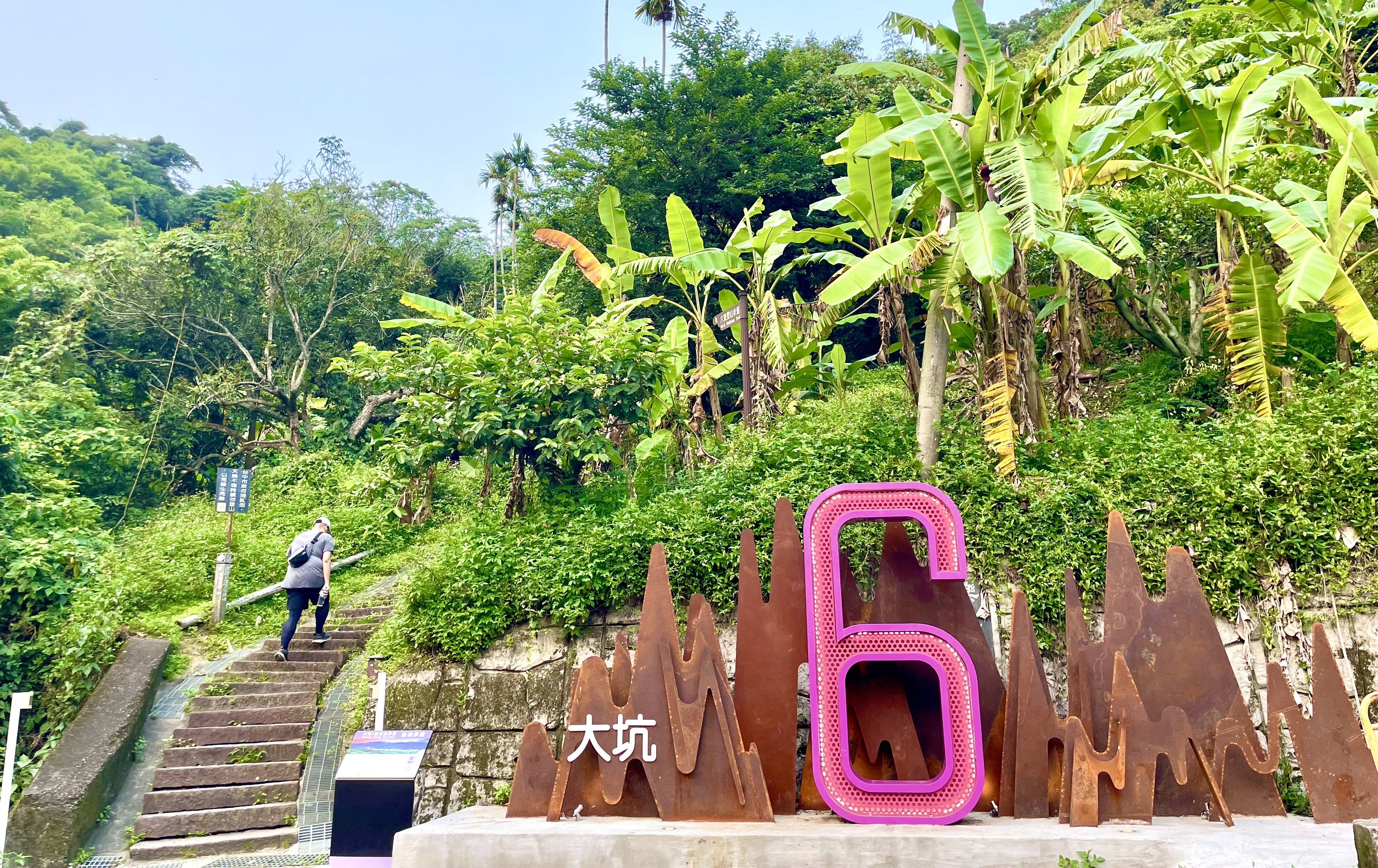 馬年開春必衝！ 大坑步道「龍馬精神」全攻略 帶你步步高升