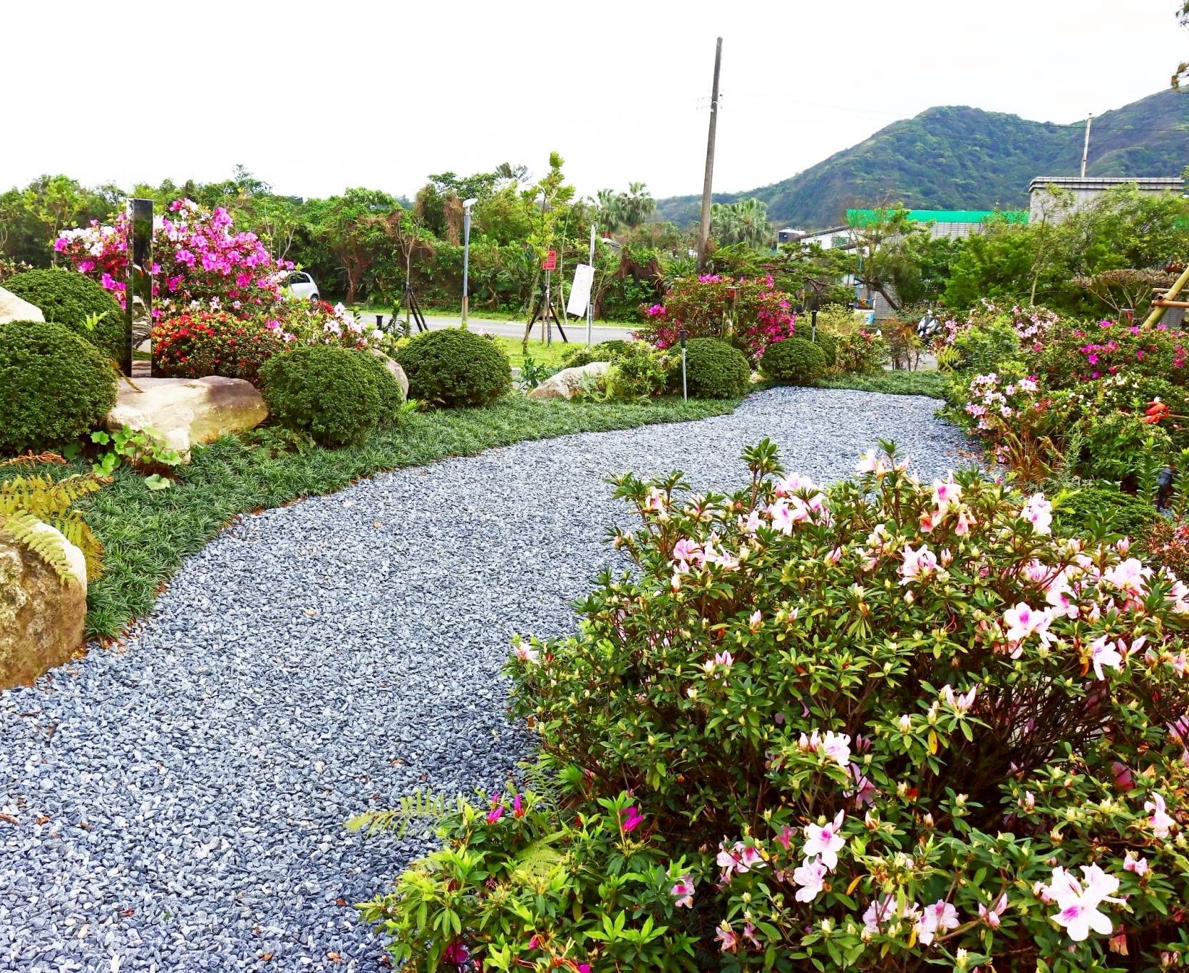 萬金杜鵑盛開！ 萬里金山雙展區週末壓軸接力 藝文市集與百人彩繪點亮北海岸