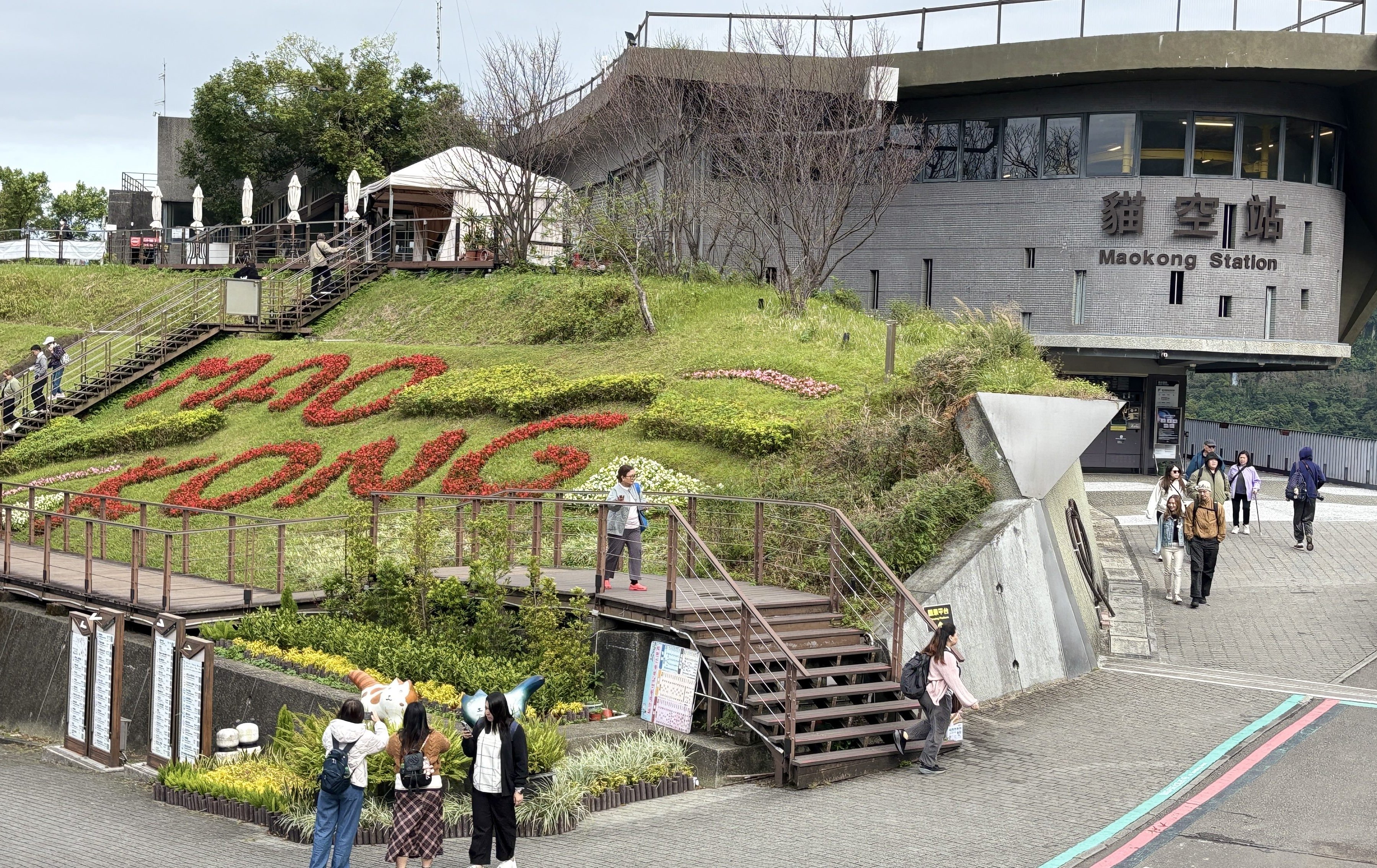 貓纜驚喜變身！ 貓空站前「四季海棠」花海牆 打造最美迎賓地標