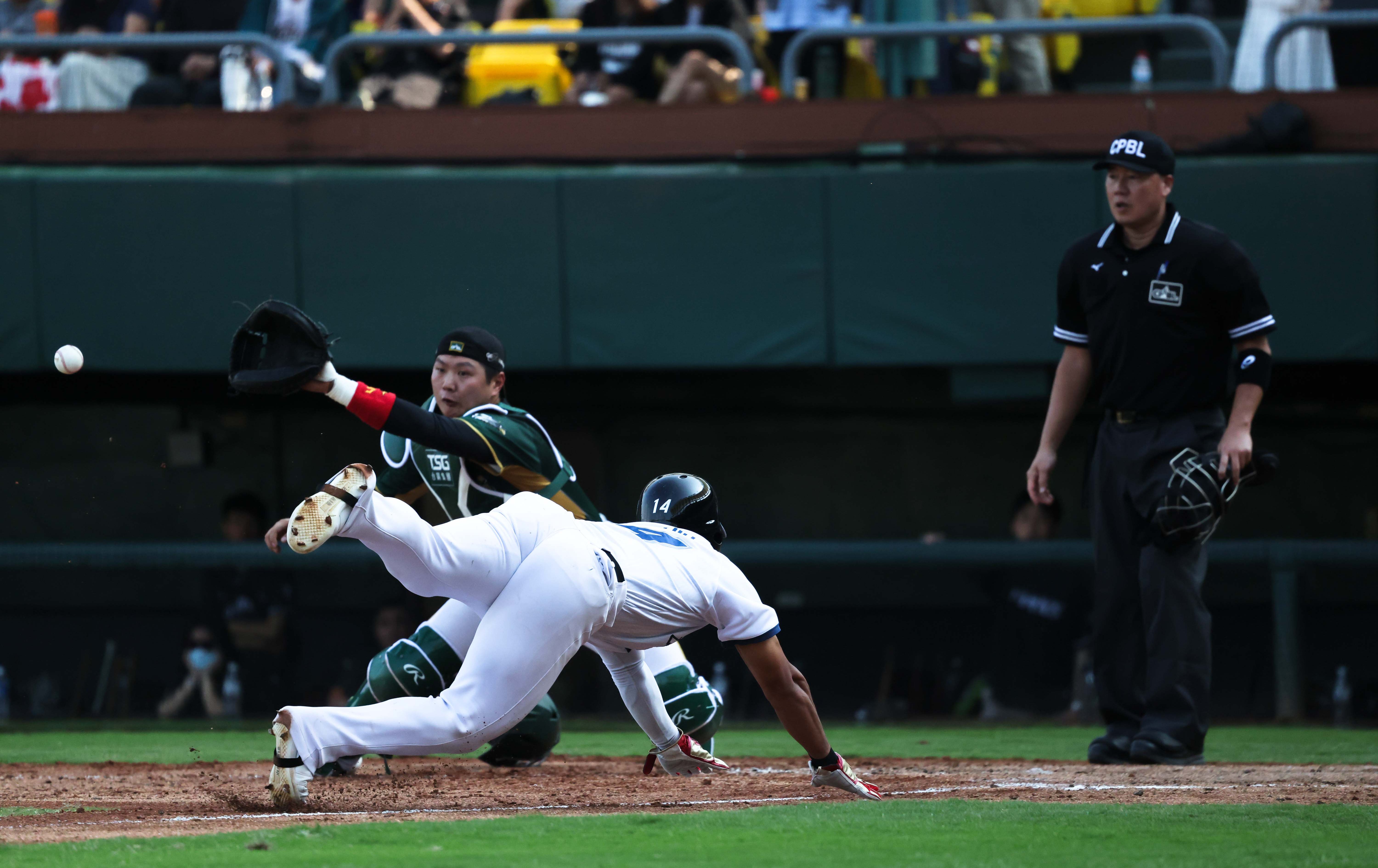 WBC圖集》WBC練習賽／台灣隊3：2力退台鋼雄鷹，張育成扛二棒力求火力最大化